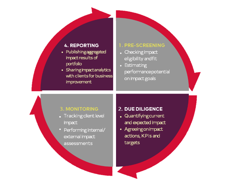 Development impact Development Finance Institute Canada